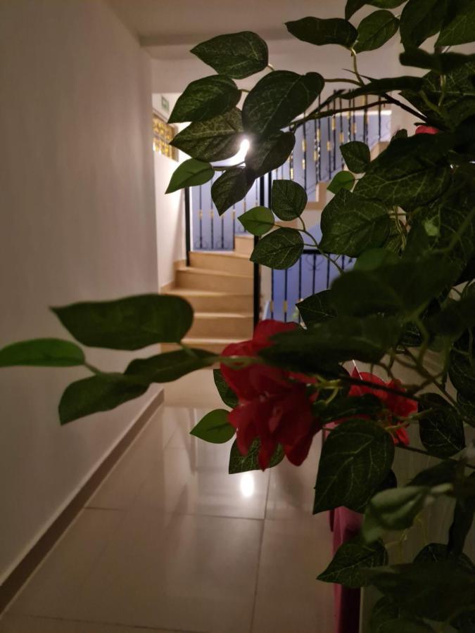 Hotel Carolina Del Mar سانتا مارتا المظهر الخارجي الصورة